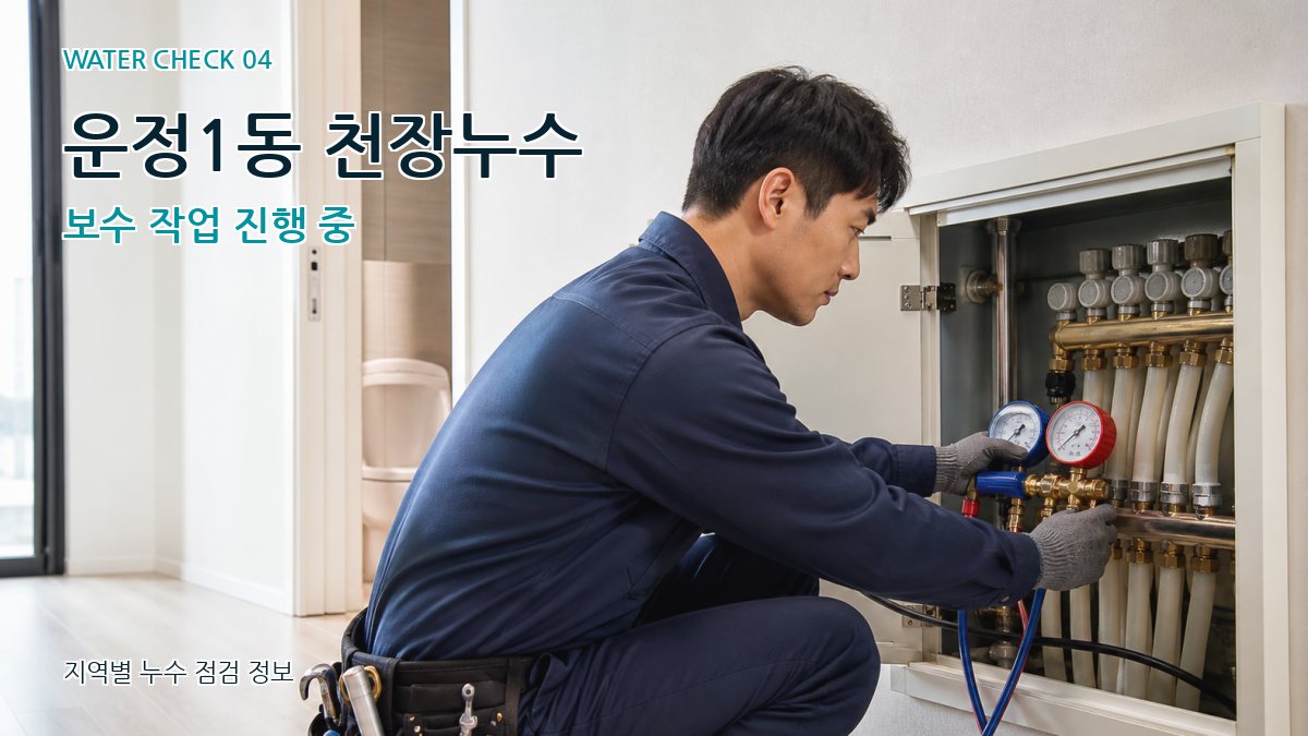 운정1동 누수탐지 누수탐지 이미지